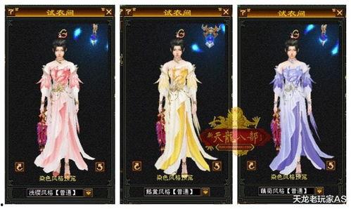 天龙皮肤爆料最新消息,全新视觉盛宴,神秘角色即将亮相